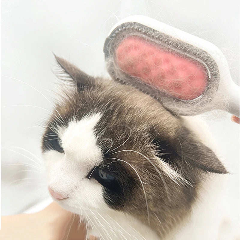 Double-Sided Cat Hair Removal Brush with Cleaning Wipes