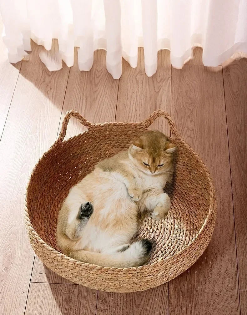 Handwoven Natural Cat Bed - Removable Cushion with Year-Round Comfort & Easy-Wash Design