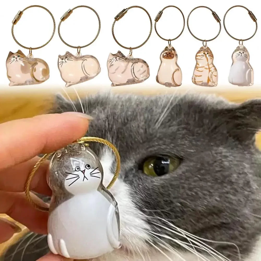 Cat Fur Keepsake Keyring - Transparent Pet Hair Storage Bottle Memorial Gift (Pack of 1/6)