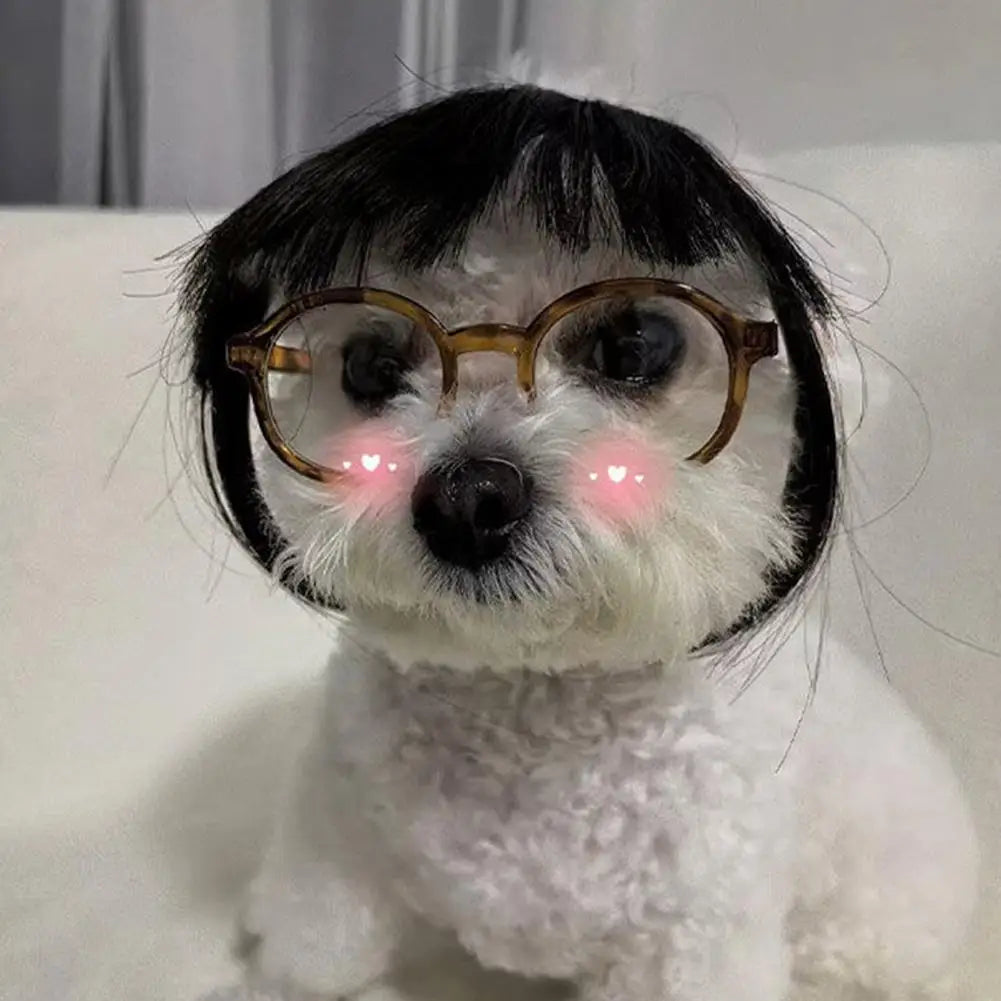 Cat Wig with Fringe - Funny Costume Accessory for Cats | Cute Pet Dress-Up Headwear