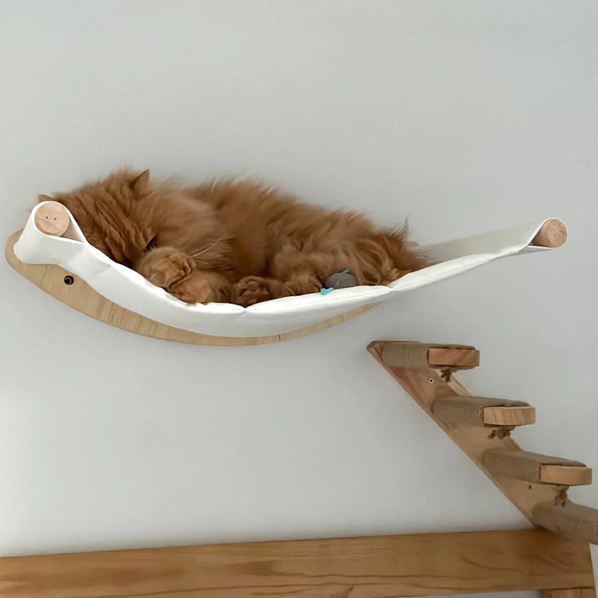 Premium Wall-Mounted Cat Climbing System - Hand-Woven Macramé Hammock with Detachable Wooden Platforms