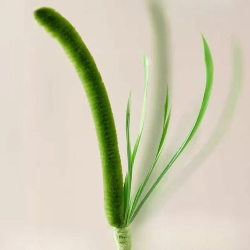 Interactive Feather Wand Cat Toy with Natural Grass Tail