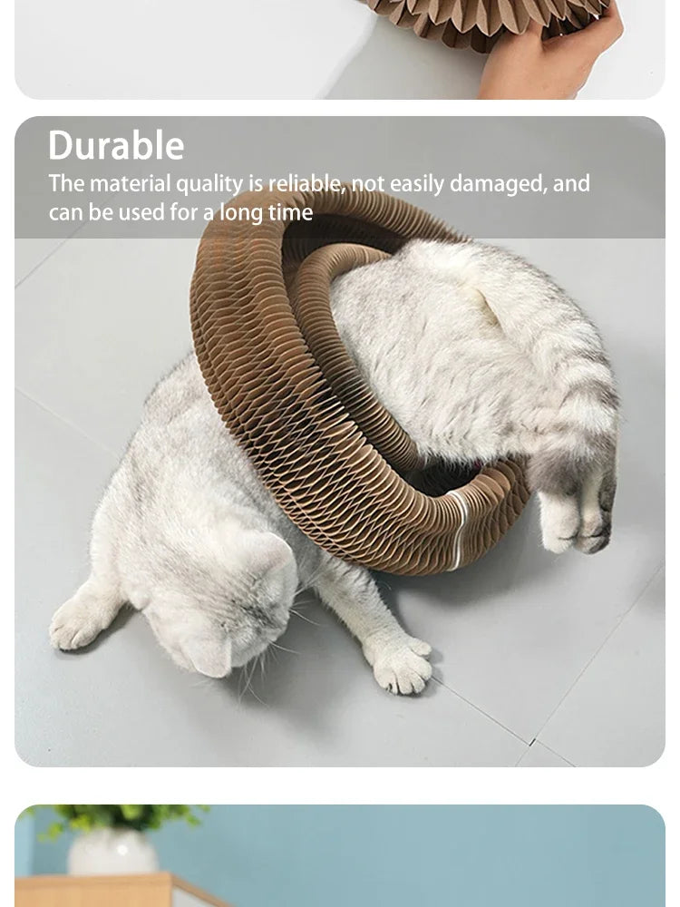 Transformable Cat Scratching Board - Magnetic Corrugated Cardboard Scratcher with Interactive Bell