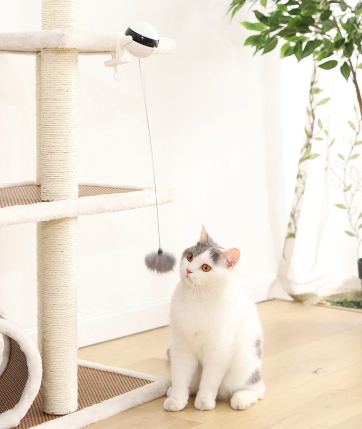 Automatic Lifting Ball Cat Toy - Interactive Electric Teaser with Rotating Motion