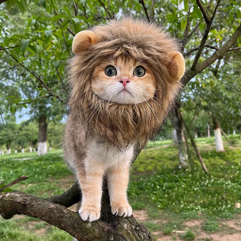 Lion Mane Cat Costume - Adorable Fancy Dress Wig
