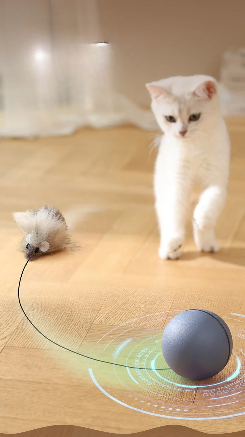 Interactive Self-Rolling Cat Ball Toy with Motion Sensor - Automatic Smart Ball for Indoor Cats and Kittens