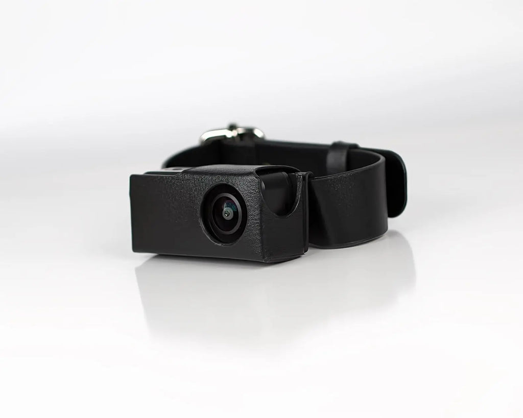 HD Pet Collar Camera - 1080P Wearable Video Recorder for Cats & Dogs with 170° Wide Angle Lens