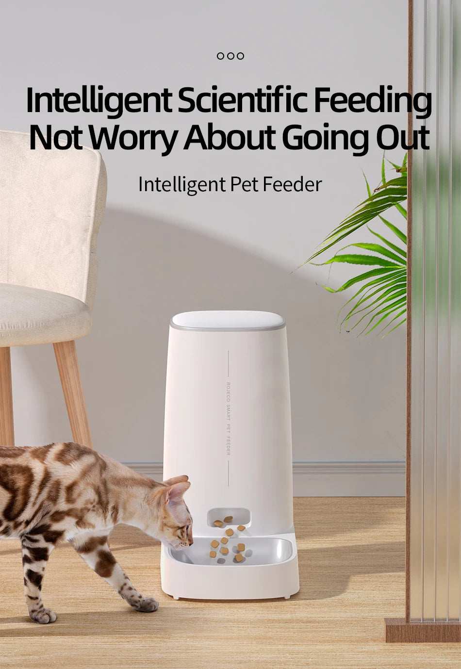ROJECO 4L Automatic Cat Feeder with WiFi Remote Control - Smart Pet Food Dispenser for Cats