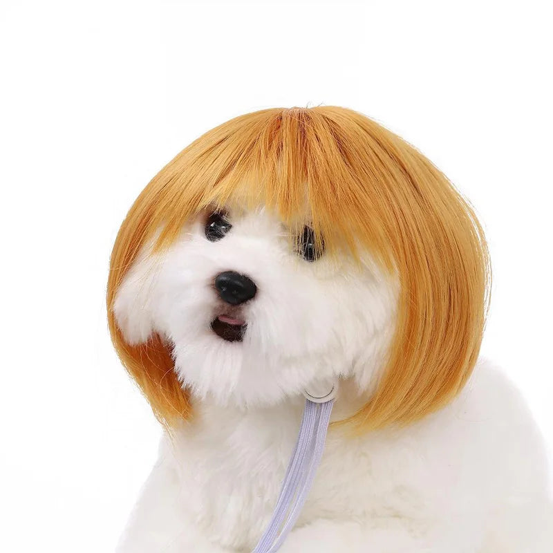 Handwoven Cat Wig - Novelty Pet Costume Accessory