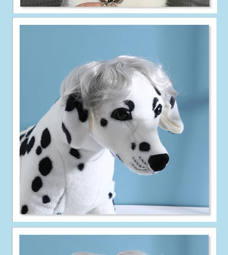 Cat Wig Headpiece - Funny Pet Costume Accessory for Parties and Photos