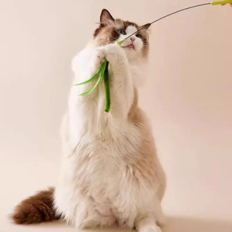 Interactive Feather Wand Cat Toy with Natural Grass Tail
