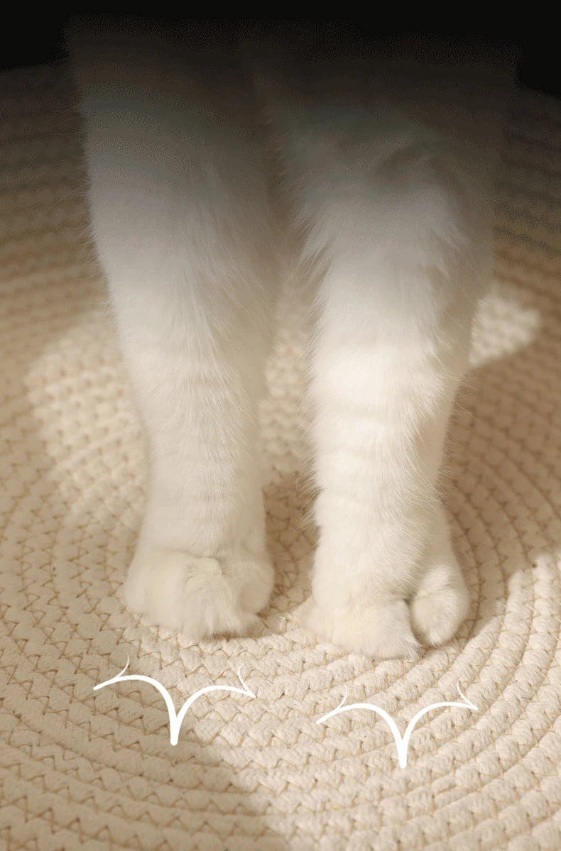 Handwoven Rattan Cat Bed - Natural Eco-Friendly Pet Basket with Removable Washable Cushion & Scratch-Resistant Base