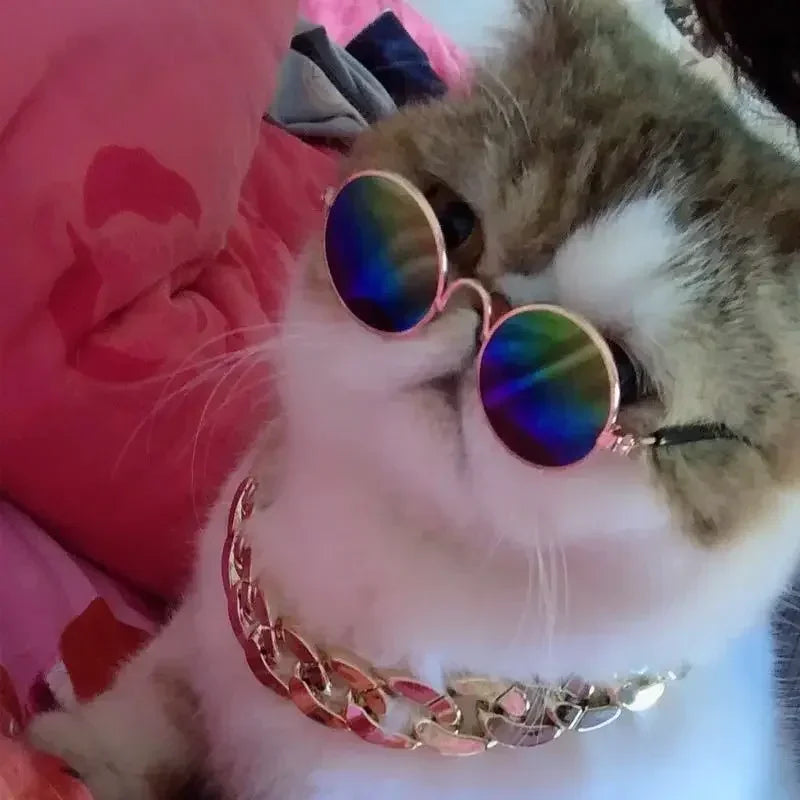 Cat Sunglasses with UV Protection - Cute Pet Photo Props for Cats & Small Dogs