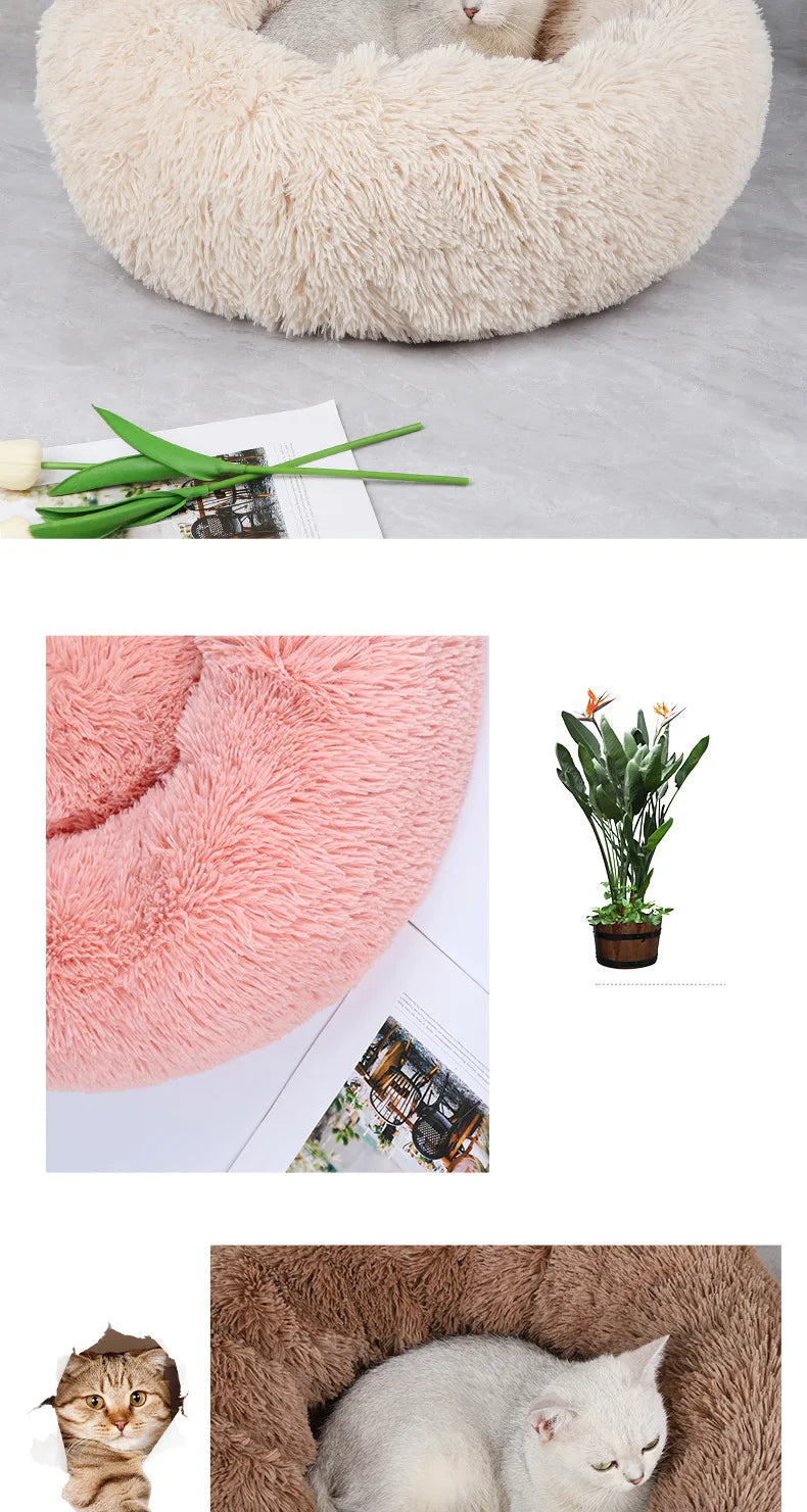 Luxurious Round Plush Cat Bed - Cosy Donut Design with Removable Washable Cover