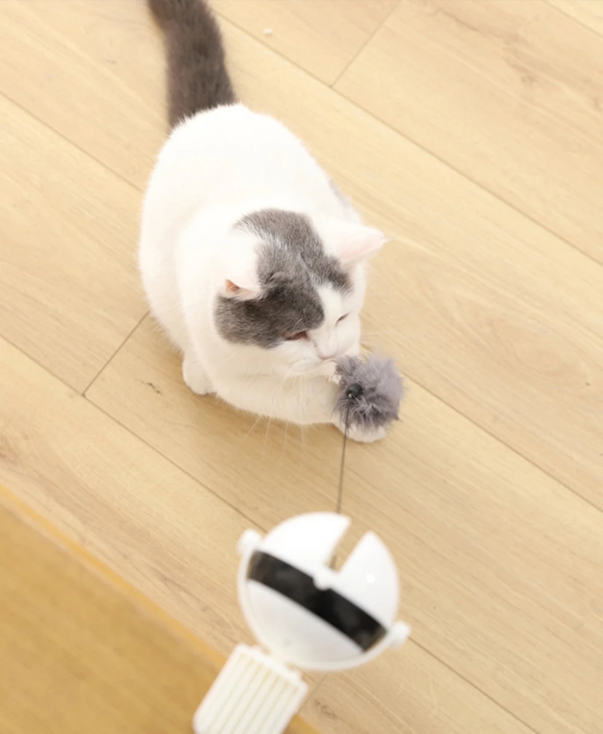 Automatic Lifting Ball Cat Toy - Interactive Electric Teaser with Rotating Motion