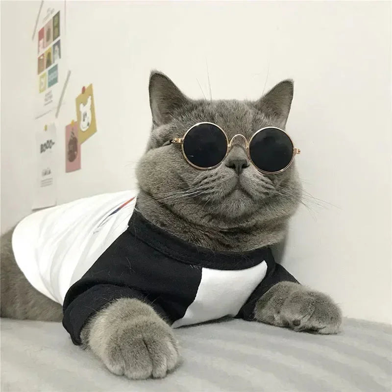 Cat Sunglasses with UV Protection - Cute Pet Photo Props for Cats & Small Dogs
