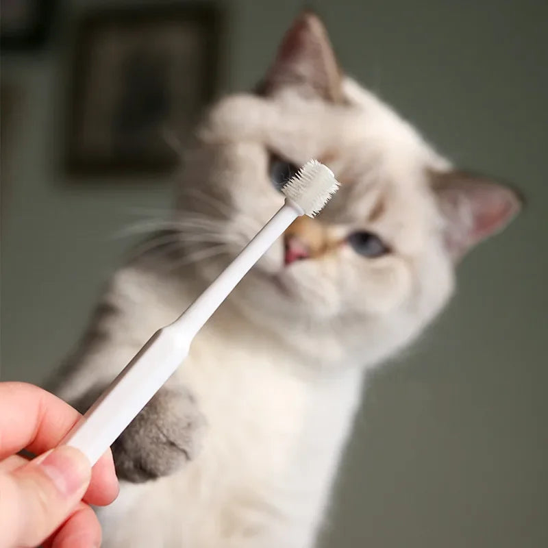 Cat Toothbrush Set with Soft Bristles - Complete Dental Care Kit for Feline Oral Hygiene