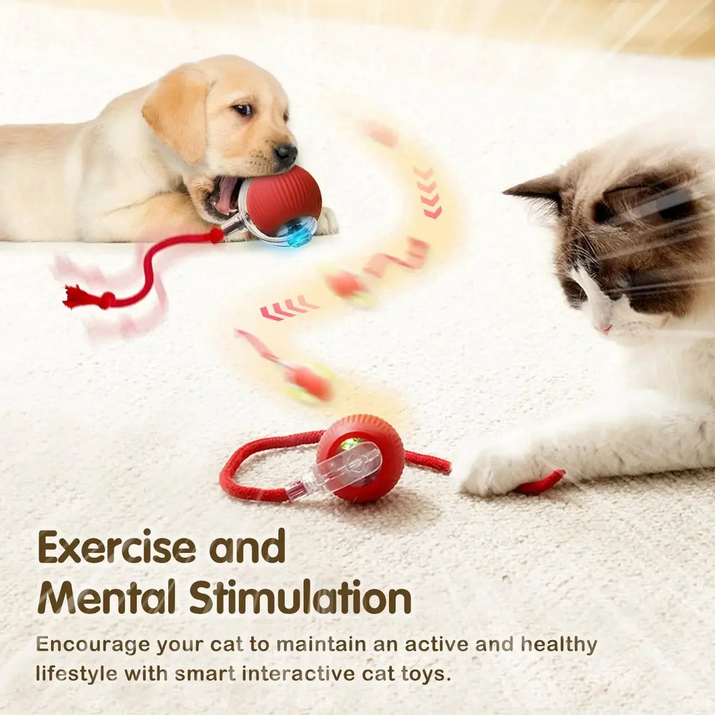 Smart Interactive Cat Ball - USB Rechargeable Auto-Rolling Toy with Intelligent Motion Sensors