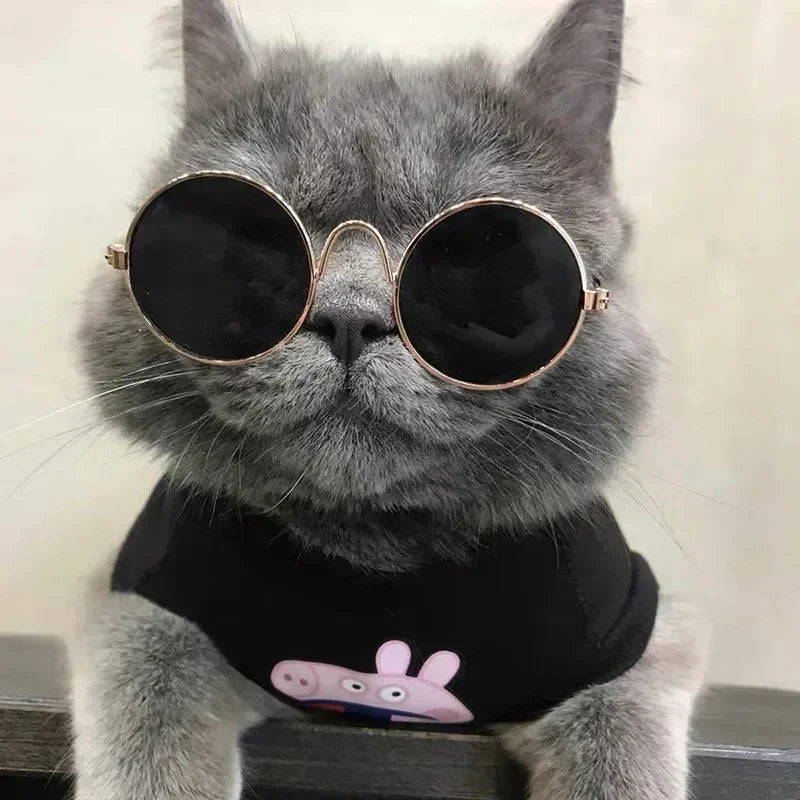 Cat Sunglasses with UV Protection - Cute Pet Photo Props for Cats & Small Dogs