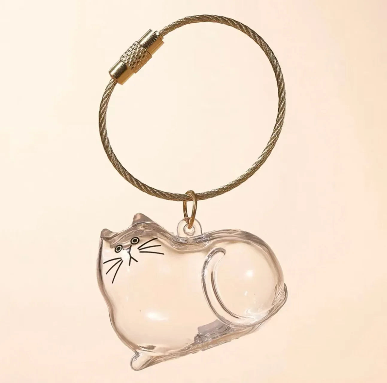 Cat Fur Keepsake Keyring - Transparent Pet Hair Storage Bottle Memorial Gift (Pack of 1/6)