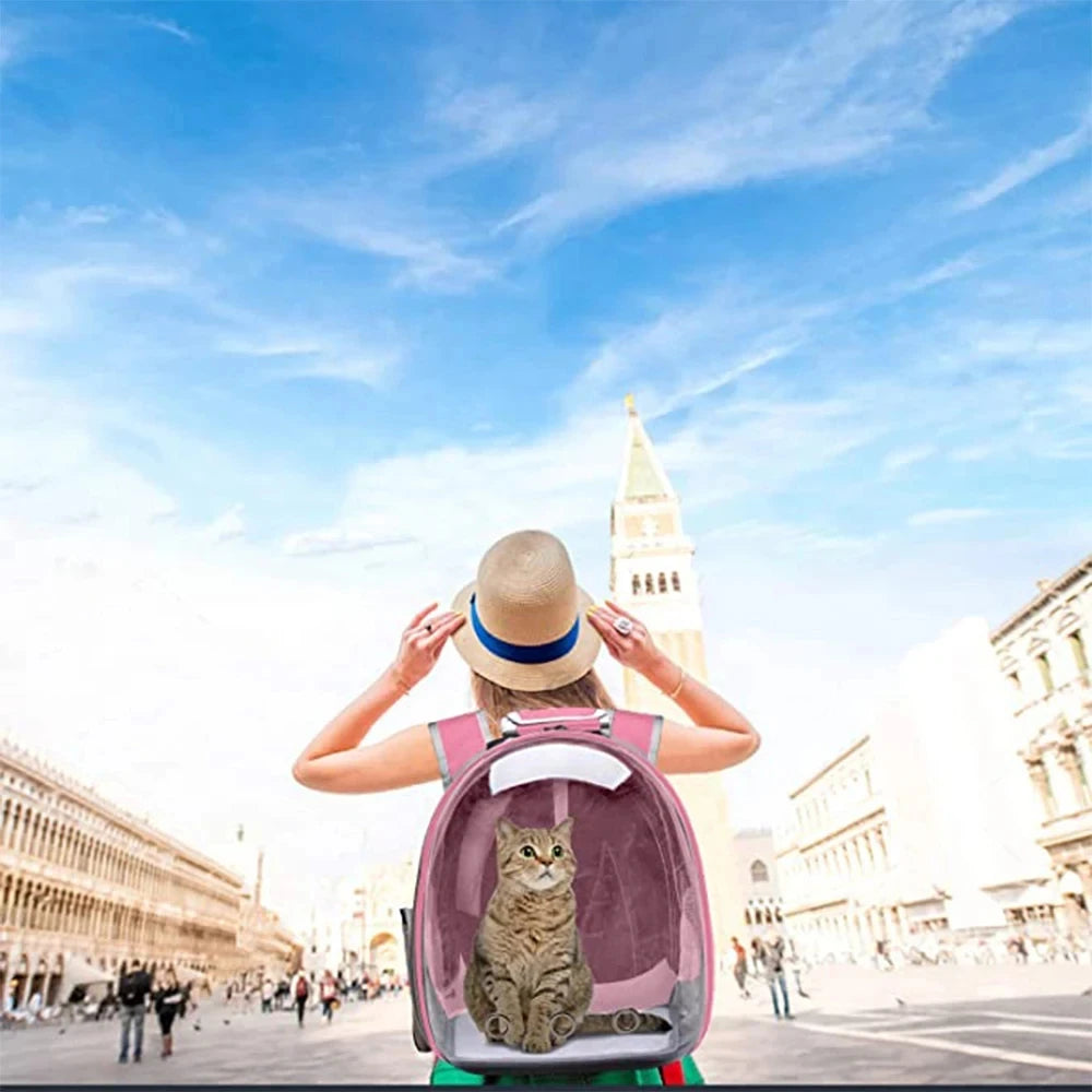 Transparent Bubble Pet Carrier Backpack - Breathable Travel Bag for Cats, Kittens & Small Pets