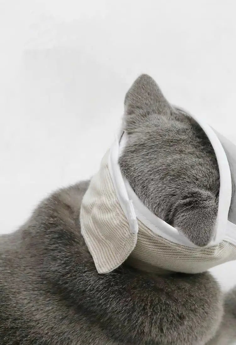Cat Grooming Muzzle - Transparent Breathable Anti-Bite Mask for Grooming & Veterinary Care