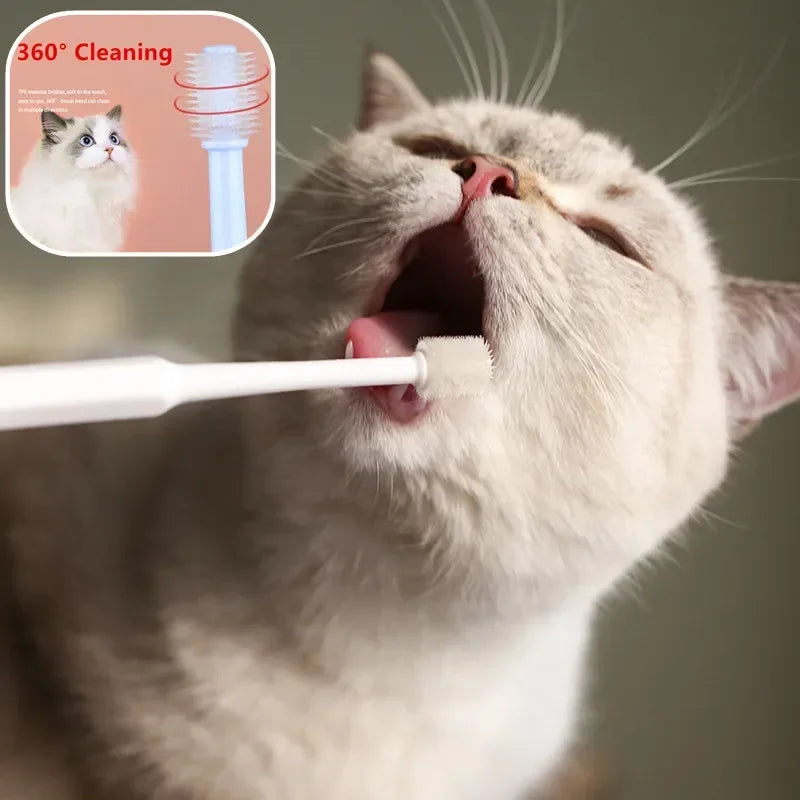 Cat Toothbrush Set with Soft Bristles - Complete Dental Care Kit for Feline Oral Hygiene