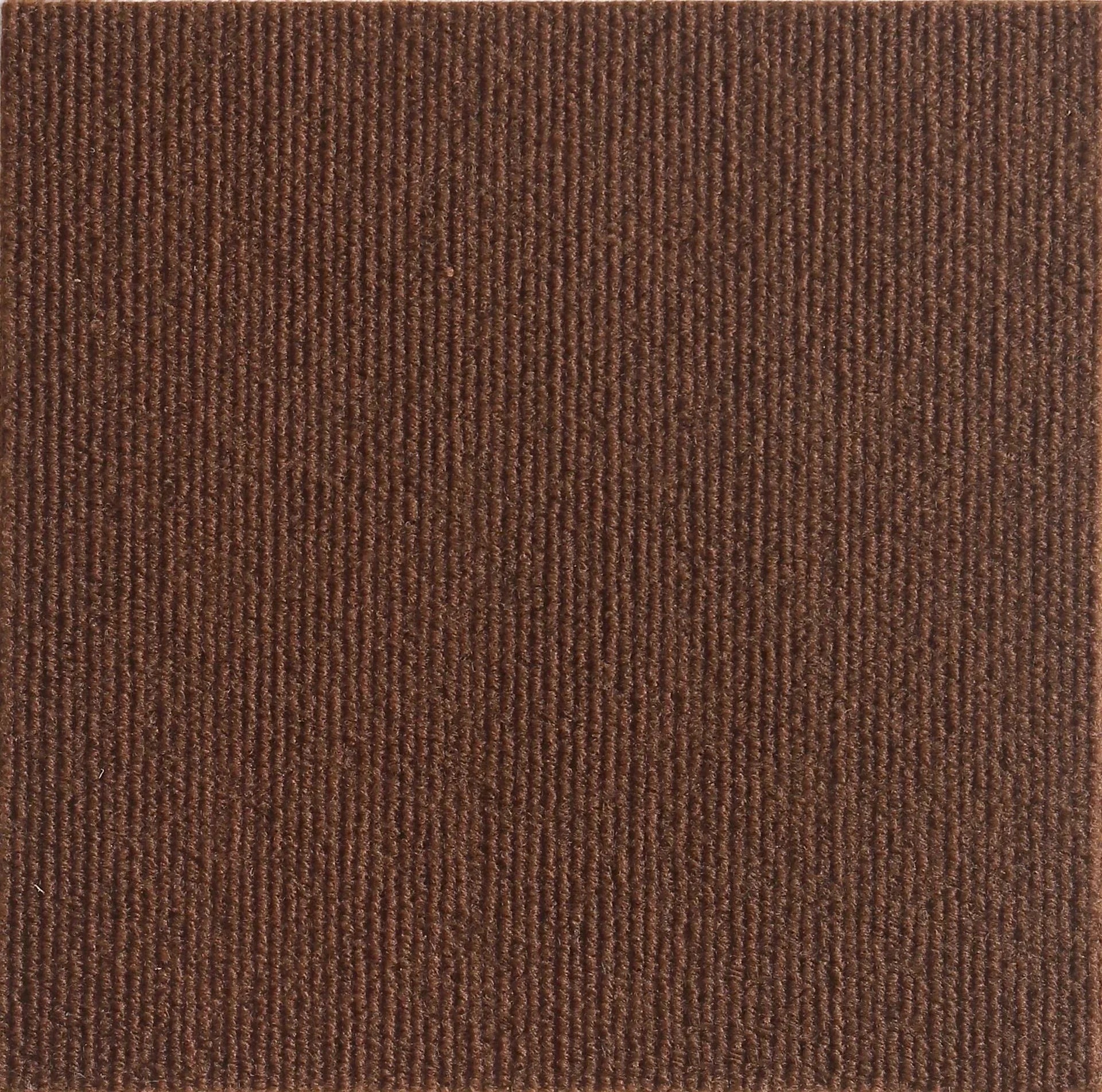 Self-Adhesive Cat Scratching Mat - Trimmable Furniture Protector for Sofas, Walls & Corners