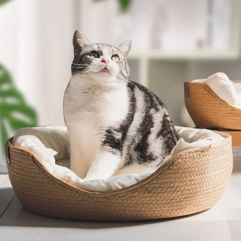 Handwoven Rattan Cat Bed - Natural Breathable Wicker Basket with Plush Cushion for Cats & Small Dogs