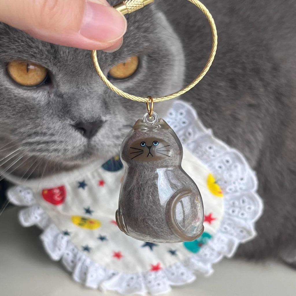 Cat Fur Keepsake Keyring - Transparent Pet Hair Storage Bottle Memorial Gift (Pack of 1/6)