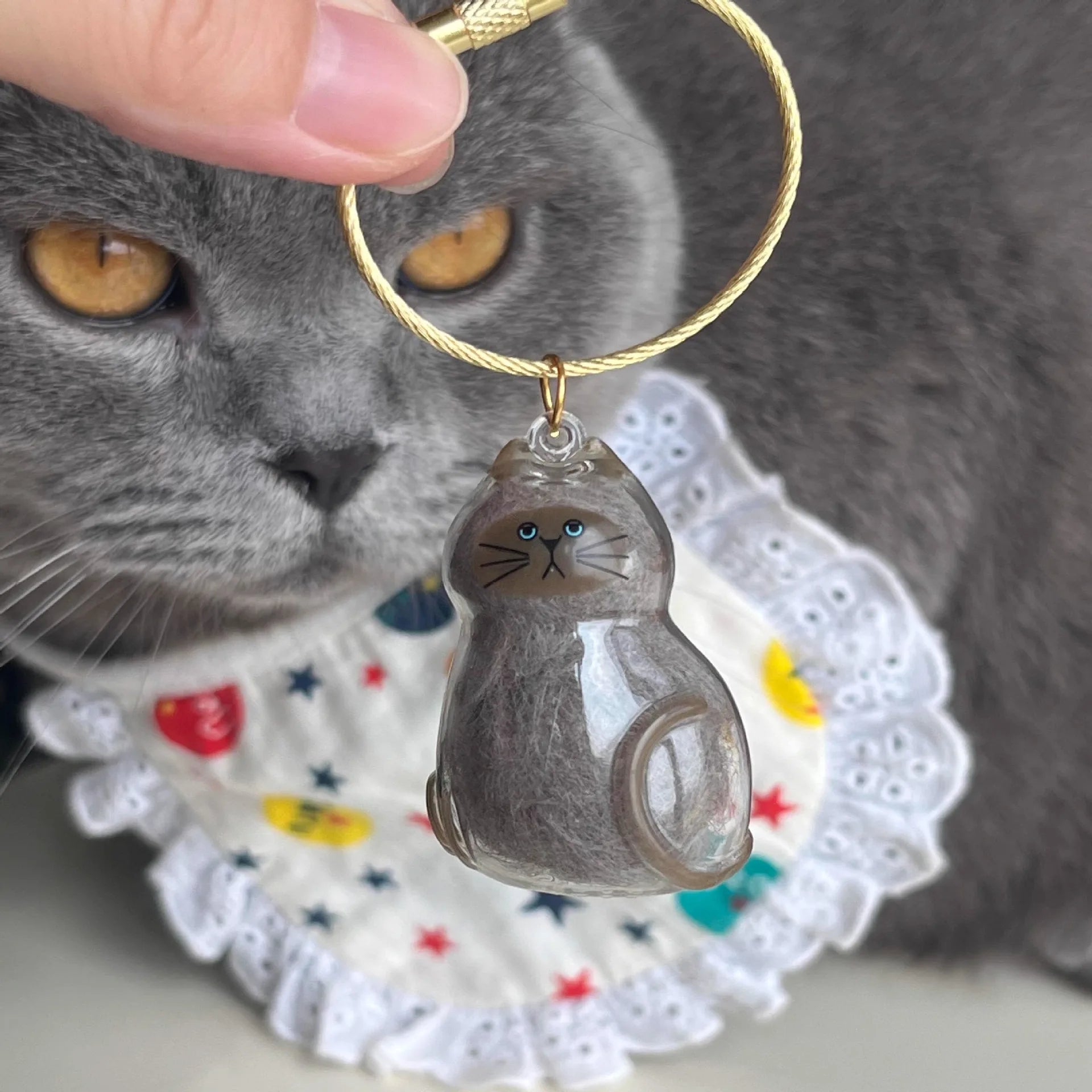 Cat Fur Keepsake Keyring - Transparent Pet Hair Storage Bottle Memorial Gift (Pack of 1/6)