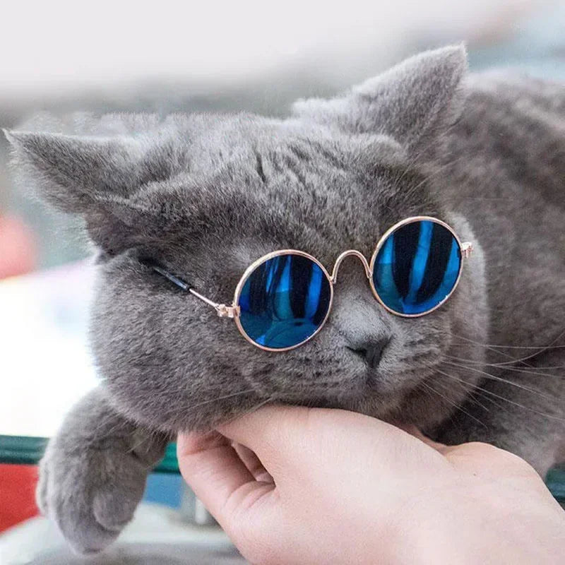 Cat Sunglasses with UV Protection - Cute Pet Photo Props for Cats & Small Dogs