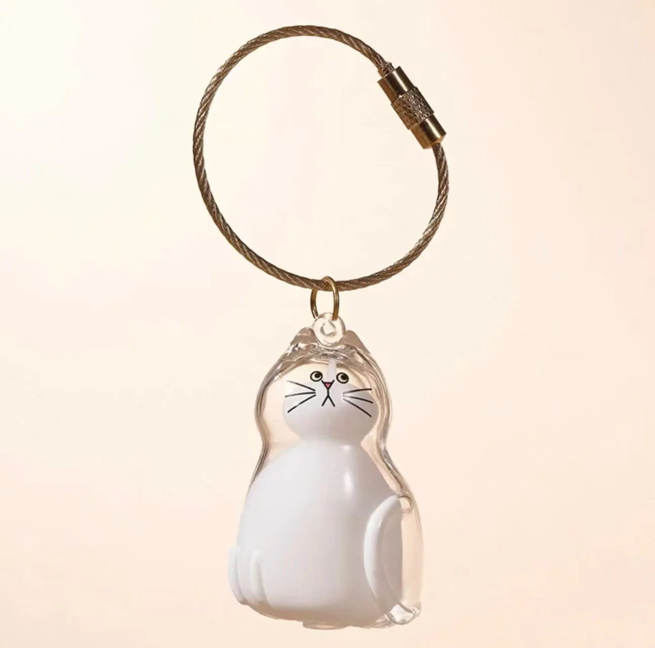 Cat Fur Keepsake Keyring - Transparent Pet Hair Storage Bottle Memorial Gift (Pack of 1/6)