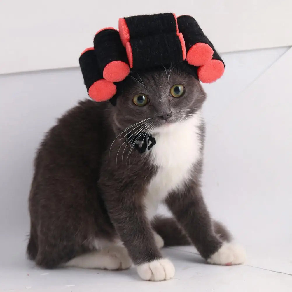 Cat Hat with Hair Rollers - Adjustable Knitted Pet Headdress for Dress-Up and Photography