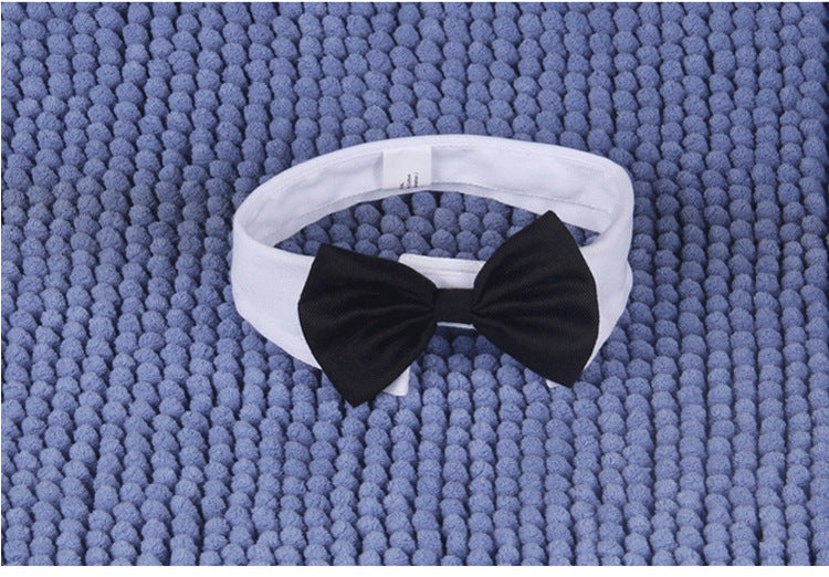 Formal Gentleman Cat Tuxedo Collar with Black Bow Tie - Classic White Dress Shirt Style