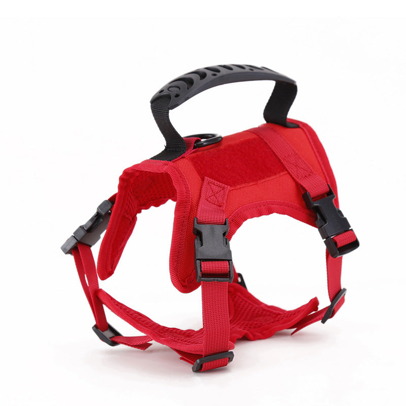 Adjustable Tactical Cat Harness & Leash Set - Heavy-Duty Nylon with Military-Inspired Design