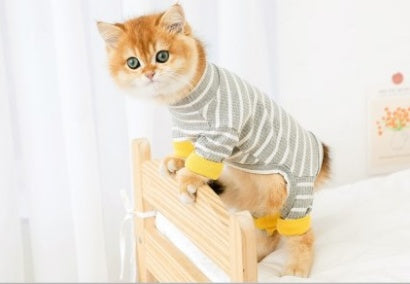 Four-Sleeve Striped Cat Outfit - Full Coverage Casual Wear with Bold Patterns
