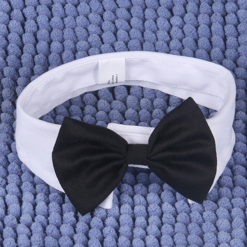 Formal Gentleman Cat Tuxedo Collar with Black Bow Tie - Classic White Dress Shirt Style