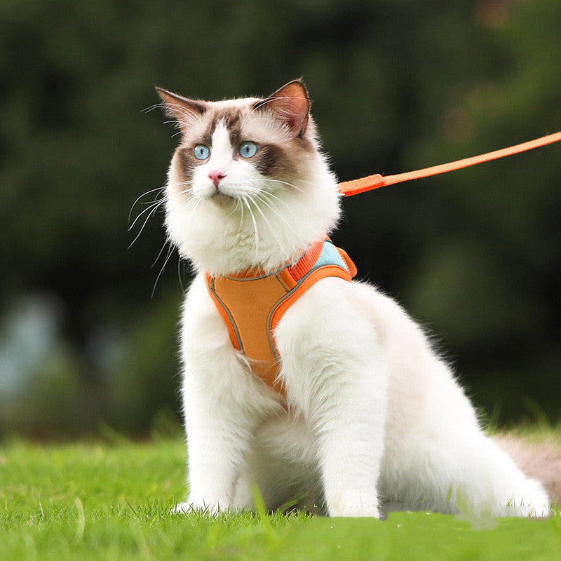 Anti-Escape Reflective Cat Harness Set - Premium Suede with Safety Visibility