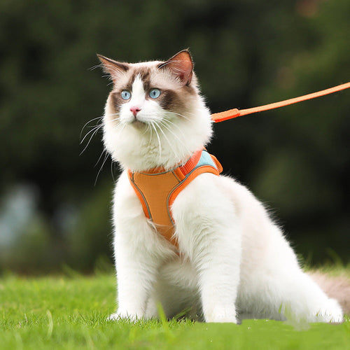 Anti-Escape Reflective Cat Harness Set - Premium Suede with Safety Visibility