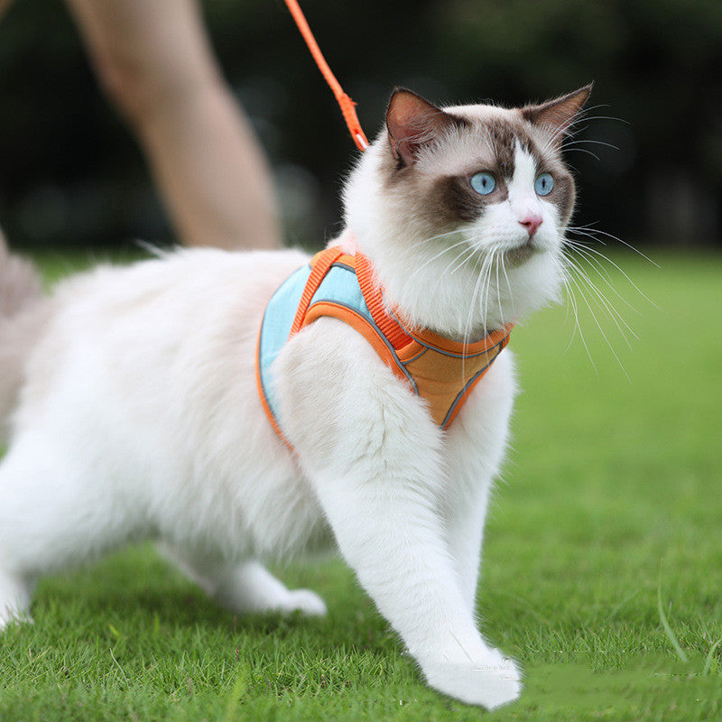 Anti-Escape Reflective Cat Harness Set - Premium Suede with Safety Visibility