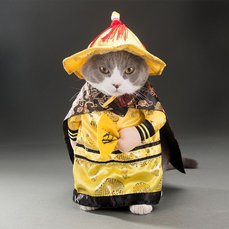 Adorable Cat Costume Collection - Professional & Character Outfits for Photo-Ready Pets