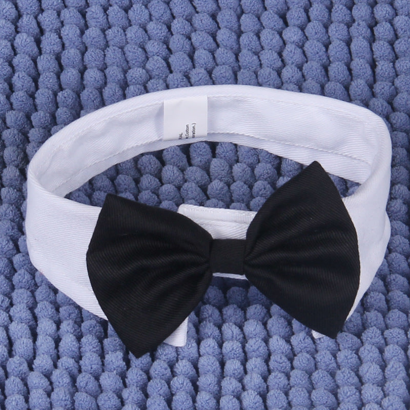 Formal Gentleman Cat Tuxedo Collar with Black Bow Tie - Classic White Dress Shirt Style